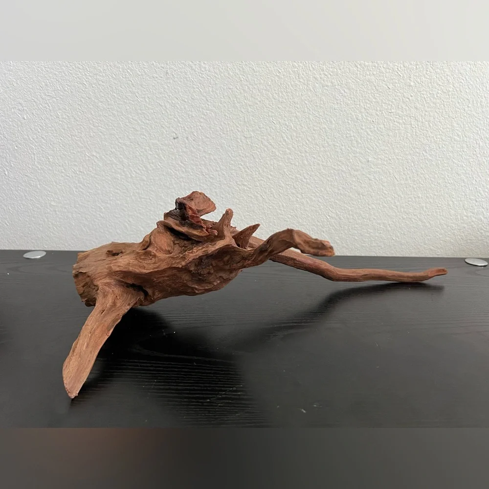Natural Driftwood Sculpture